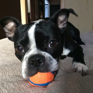 Meet your Posher, Carmen